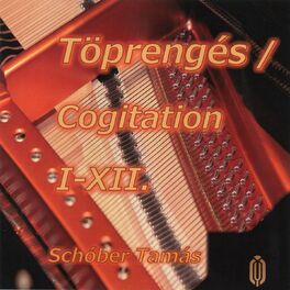 Album cover of Töprengés (Töprengés 12 Tételben)
