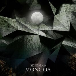 Album cover of Silver Moon
