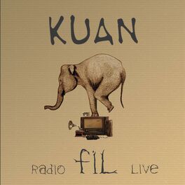 Album cover of FİL
