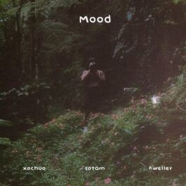 Album cover of Mood