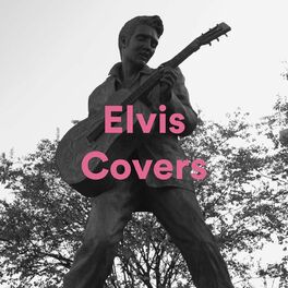 Album cover of Elvis Covers