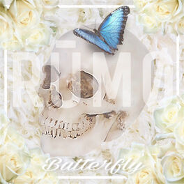 Album cover of Butterfly