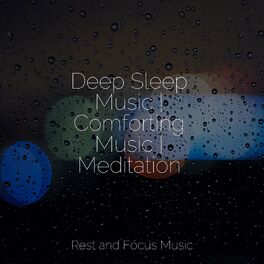Album cover of Deep Sleep Music | Comforting Music | Meditation