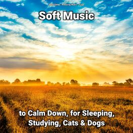 Album cover of Soft Music to Calm Down, for Sleeping, Studying, Cats & Dogs