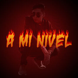 Album cover of A Mi Nivel