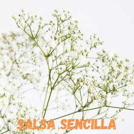 Album cover of Salsa Sencilla