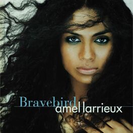 Album cover of Bravebird