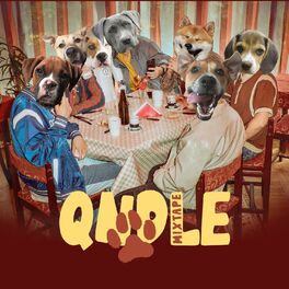 Album cover of QNDLE (Mixtape)