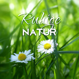 Album cover of Ruhige Natur (New Age, Friedliche Musik, Ambient, Yoga, Meditation, Entspannung, Hintergrundmusik, Innere Ruhe)