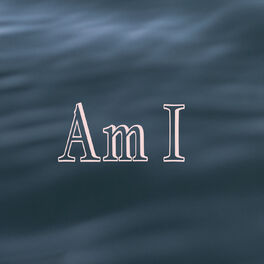 Album cover of Am I