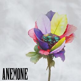 Album cover of ANEMONE