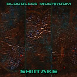 Album cover of Shiitake