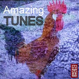 Album cover of Amazing Tunes