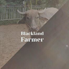 Album cover of Blackland Farmer