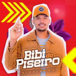 Album cover of O Piseiro Rei