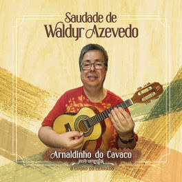 Album cover of Saudade de Waldyr Azevedo: O Choro do Cerrado