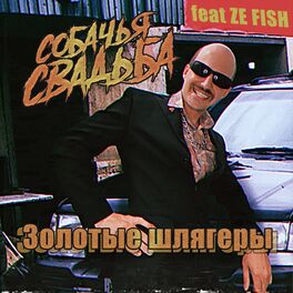 Album cover of Золотые шлягеры