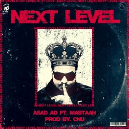Album cover of Next Level (feat. Mastaan & CNU)