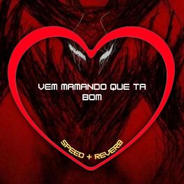 Album cover of Vem Mamando Que Ta Bom (Speed + Reverb)