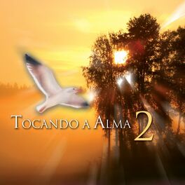 Album cover of Tocando a Alma, Vol. 2