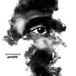 Album cover of Zenith