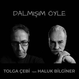 Album cover of Dalmışım Öyle (feat. Haluk Bilginer)