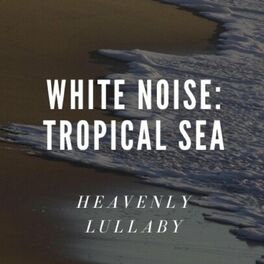 Album cover of White Noise: Tropical Sea