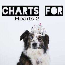 Album cover of Charts for Hearts 2