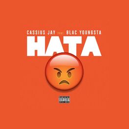 Album cover of HATA (feat. Blac Youngsta)