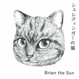 Album cover of シュレディンガーの猫