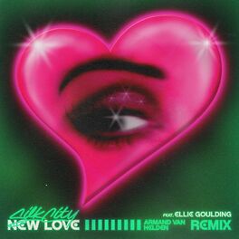 Album cover of New Love (feat. Diplo & Mark Ronson) (Armand Van Helden Remix)