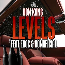 Album cover of Levels (feat. Eroc & Bonaficial)