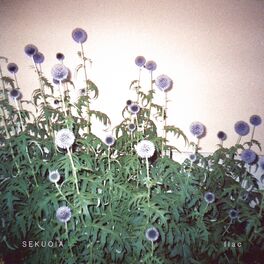 Album cover of Flac