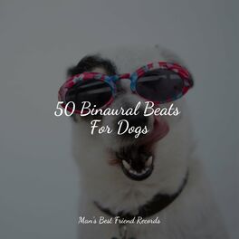 Album cover of 50 Binaural Beats For Dogs