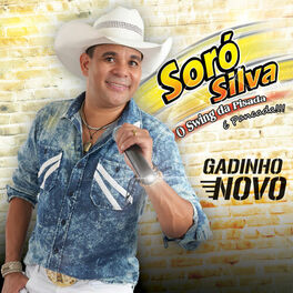 Album cover of Gadinho Novo
