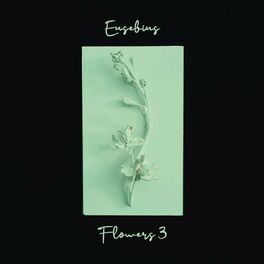 Album cover of Flowers 3