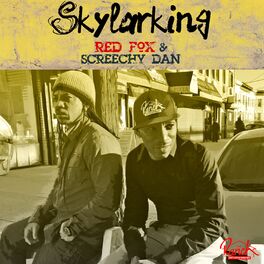 Album cover of Skylarking - Single