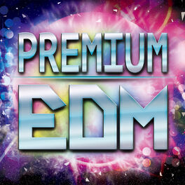 Album cover of PREMIUM EDM 2015
