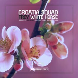 Album cover of White Horse