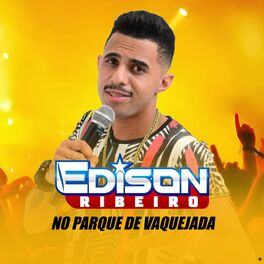 Album cover of No Parque de Vaquejada