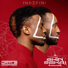 Album cover of Indéfini