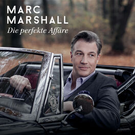 Album cover of Die perfekte Affäre