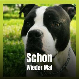 Album cover of Schon Wieder Mal