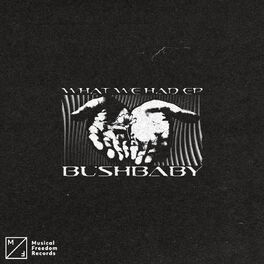 Album cover of What We Had EP