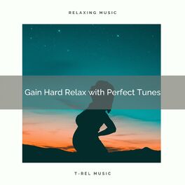 Album cover of ! ! ! ! ! Gain Hard Relax with Perfect Tunes
