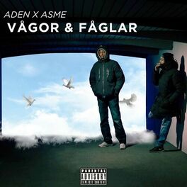 Album cover of Vågor & Fåglar