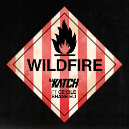 Album cover of Wildfire