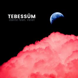 Album cover of Tebessüm