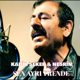 Album cover of Sen Ayrı Trende