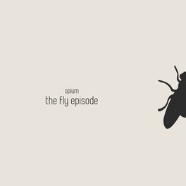 Album cover of The fly episode